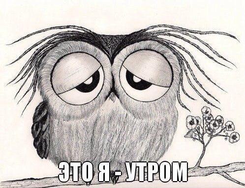 MOTOR -  ! - 5  2014  17:33