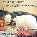 ���� �����, ���������, 48 ��� - ��������� 24 ������� 2014 � ������ ������ ��������