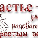 ���� ������, ��������� - ��������� 1 ������� 2014 � ������ ������ ��������