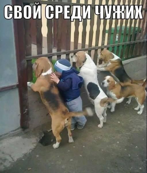 ��Z����! - 1 ������� 2014 � 23:03