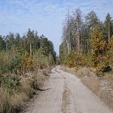 ���� Den, ����, 43 ���� - ��������� 5 ������� 2014 � ������ �Nature Of Ukraine�