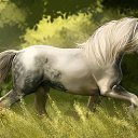 ���� Mehman, ����, 56 ��� - ��������� 24 ������� 2014 � ������ ���� ����������