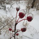  ,  -  21  2014    2014