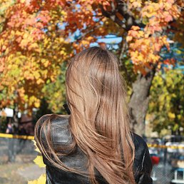 ���� �������, ���, 33 ���� - ��������� 23 �������� 2014