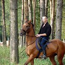 ���� ������, �����-��������� - ��������� 26 �������� 2014