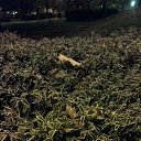 ���� ���������, ������, 47 ��� - ��������� 8 ������� 2014 � ������ ������ ��������