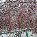 ��� ����� ������ ���� � ����� �������.......... �� ������� ������ ��������