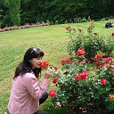Rosengard �� ������� ���� ����������