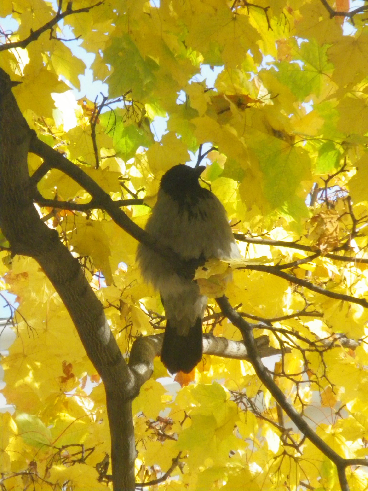 �����... - 2