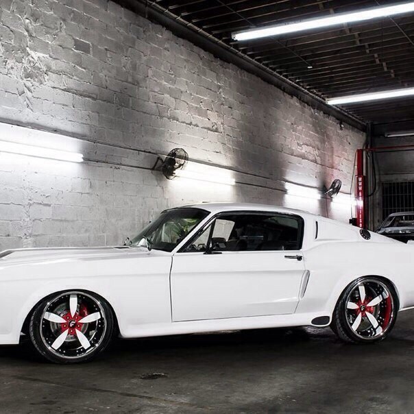 '67 Ford Shelby - 6