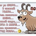���� ������, �����-���������, 49 ��� - ��������� 6 ������� 2014 � ������ ������ ��������