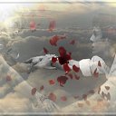  K A R O L I N A,  -  19  2014    