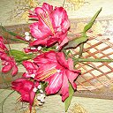 ���� �����, ������, 43 ���� - ��������� 31 ������� 2014