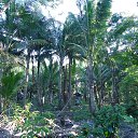 ���� Natalia, ���� - ��������� 12 ������ 2014 � ������ ���� ������ ���