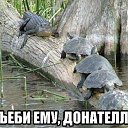 ���� D, �������, 37 ��� - ��������� 10 �������� 2014 � ������ ������ ��������