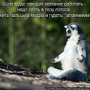 ���� Irina, ����������� - ��������� 29 ������� 2014 � ������ ������ ��������