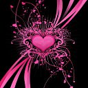 ���� �������, ����, 30 ��� - ��������� 29 ������� 2014 � ������ ���� ����������