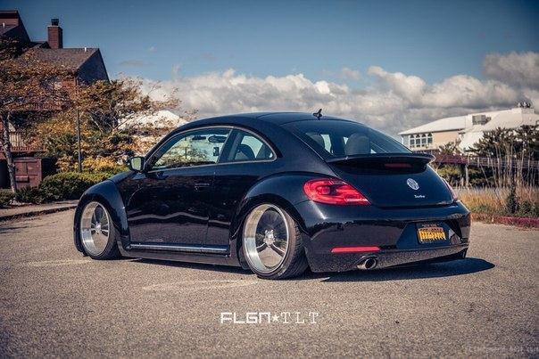 Volkswagen Beetle - 8