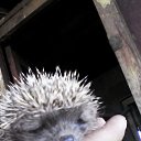 ���� Viktor, ������� - ��������� 25 ������ 2014