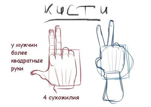      . - 4