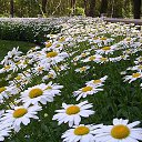 ���� �����, �����������, 58 ��� - ��������� 24 �������� 2014 � ������ ���� ����������