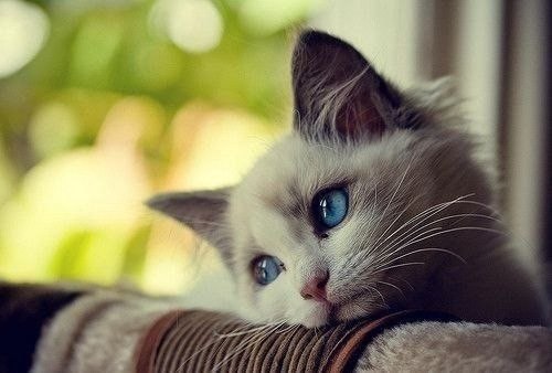 Хочу чтобы был такой человек, которому я могла бы написать в любое время пару слов: "Блин, мне ...
