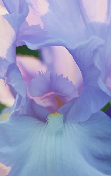 Чтобы обрести знание, каждый день что-нибудь добавляй; чтобы обрести мудрость, каждый день от ... - 7