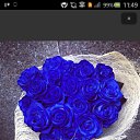 ���� ��, �������� - ��������� 20 ������ 2014 � ������ ���� ����������