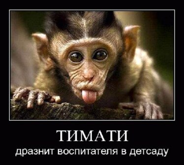 Подпишитесь, если понравилось!!! fotostrana.ru/public/237440/?