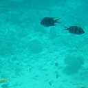 ���� Credo, ������� - ��������� 28 ������� 2014 � ������ ������� 2014�