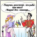 ���� �������, ������, 59 ��� - ��������� 27 ������� 2014 � ������ ������ ��������