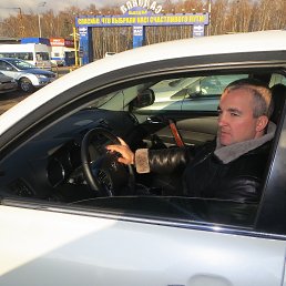 ������, �������, 41 ���