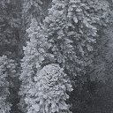 ���� ������, ���������, 44 ���� - ��������� 6 ������� 2014 � ������ ���� ����������