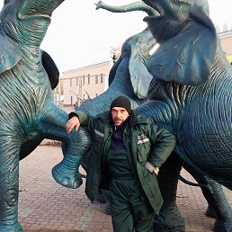 ���� ������, �����, 61 ��� - ��������� 20 ������� 2014