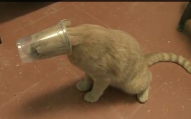    :3 - 4