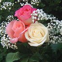 ���� ������, ��������, 67 ��� - ��������� 7 ������� 2014 � ������ ������ ��������