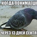  , , 47  -  24  2014    