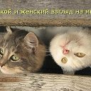 ���� ����, ��������� - ��������� 26 ������� 2014 � ������ ������ ��������