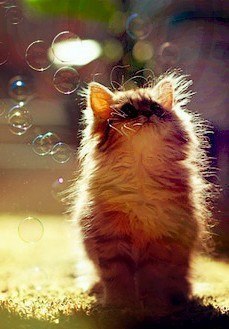 ...����� � ���� ����� ��������� ��������� ���� - 4