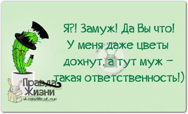 ����� - 3 ������ 2014 � 11:59