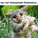 ���� Irina, ����������� - ��������� 29 ������� 2014 � ������ ������ ��������