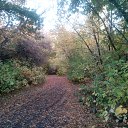 ���� ������, �������� - ��������� 1 ������� 2014 � ������ ����������� ���� 14�