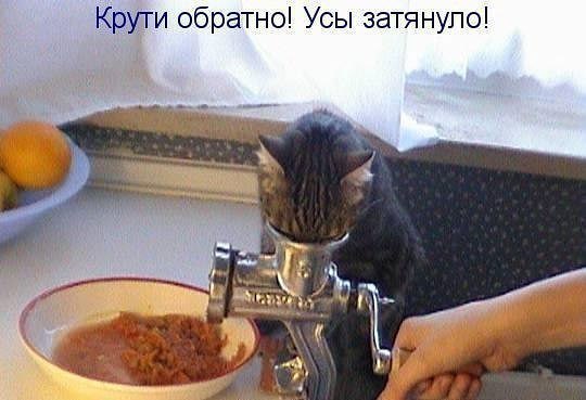 �������������� �� ���� �������� <a href=