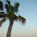 ���� ������, �����-���������, 67 ��� - ��������� 20 ������ 2014