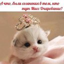 ���� �������, �����-��������� - ��������� 23 �������� 2014 � ������ ������ ��������