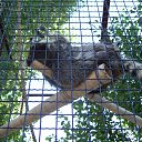 ���� ���������, �����-���������, 33 ���� - ��������� 3 ������� 2014 � ������ �����