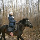 �������� ����� ����� ����������� ������ 22.11.14 �� ������� ���� ����������