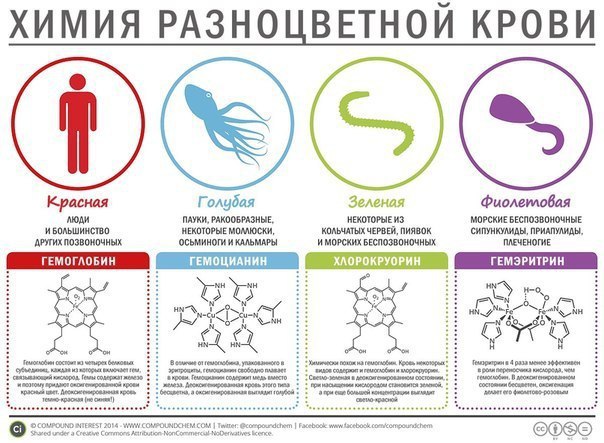 Какого цвета бывает кровь и с чем это связано.Вы, конечно, знаете, что человеческая кровь красного ...