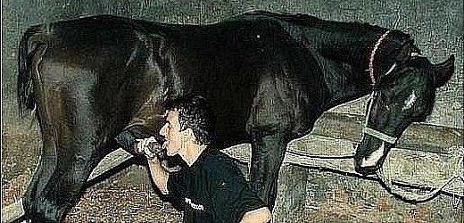 ��� �����