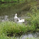 ���� �������, �������, 64 ���� - ��������� 30 ������ 2014 � ������ ���� ����������